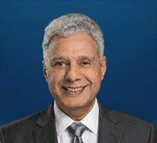 Prof. Dr. Safwat Ali Hassan